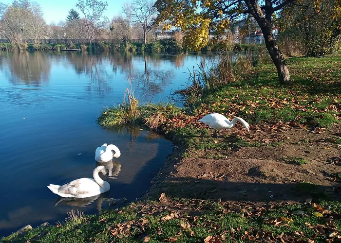 Wohnung Am Schwimmteich