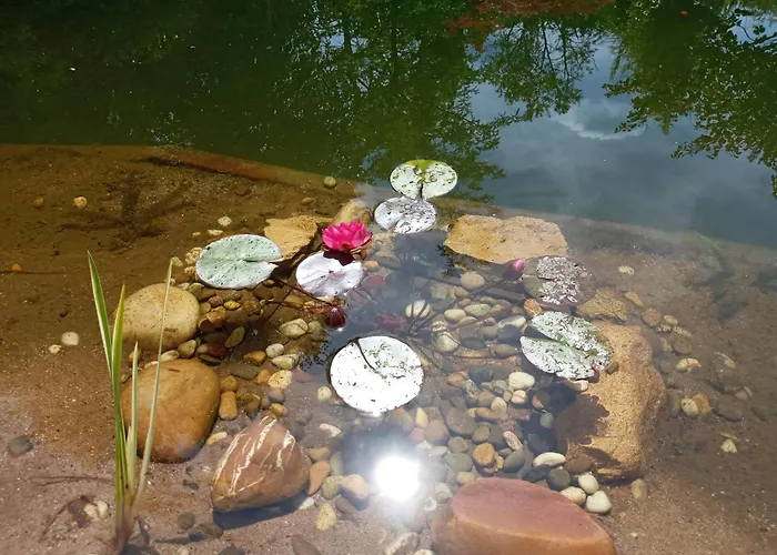 Wohnung Am Schwimmteich