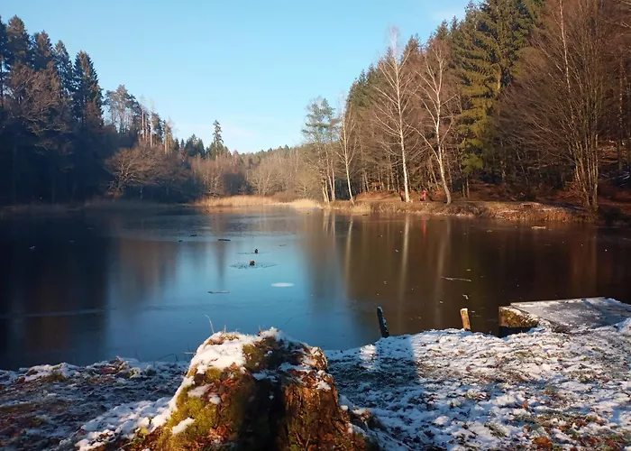 Wohnung Am Schwimmteich