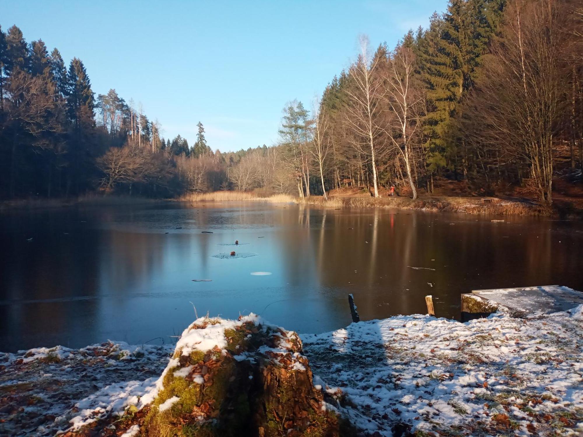 Apartment Am Schwimmteich